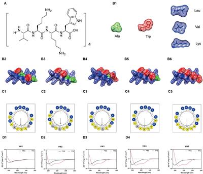 The Trp-rich Antimicrobial Amphiphiles With Intramolecular Aromatic Interactions for the Treatment of Bacterial Infection